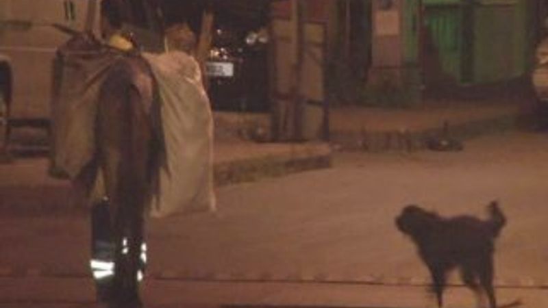 Çöpleri toplayan işçiyi rahat bırakmayan köpek İZLE