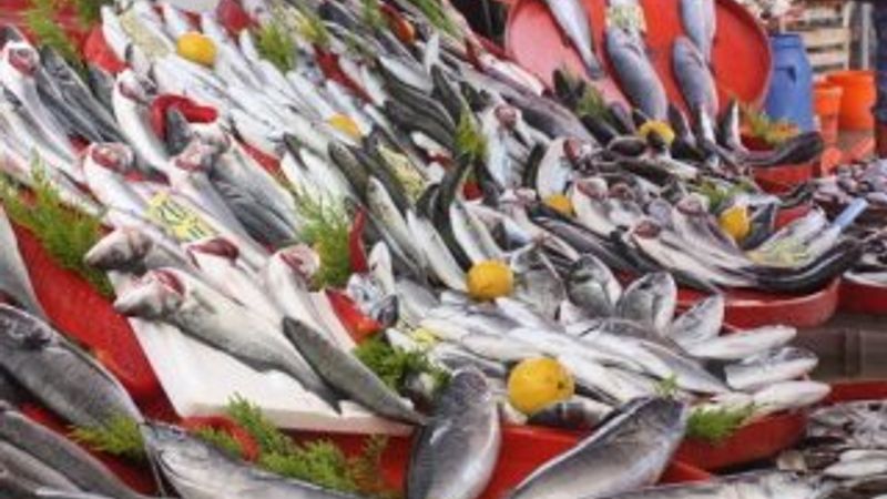Balık fiyatları düştü