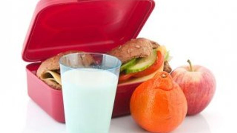 Ara öğün beslenme çantası olmalı