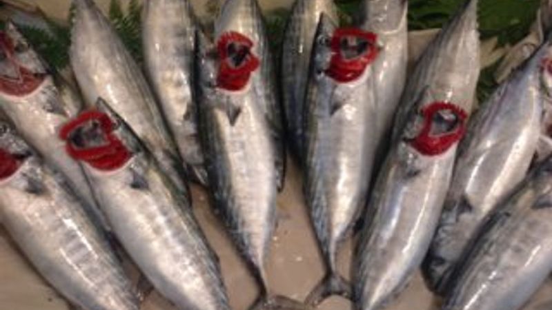 Tezgahta palamut bereketi