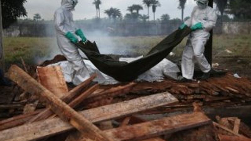 4 soruda Ebola nedir