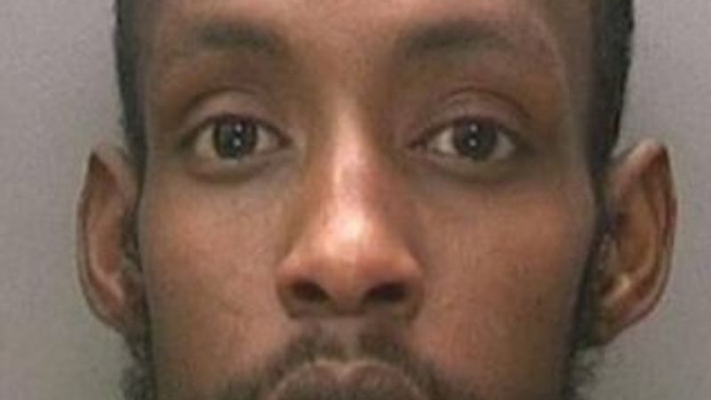 Eve giren hırsız evdeki kedileri ocakta pişirerek öldürdü