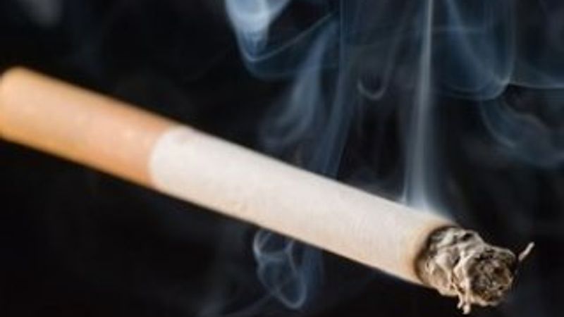 Camel sigarayı yasakladı