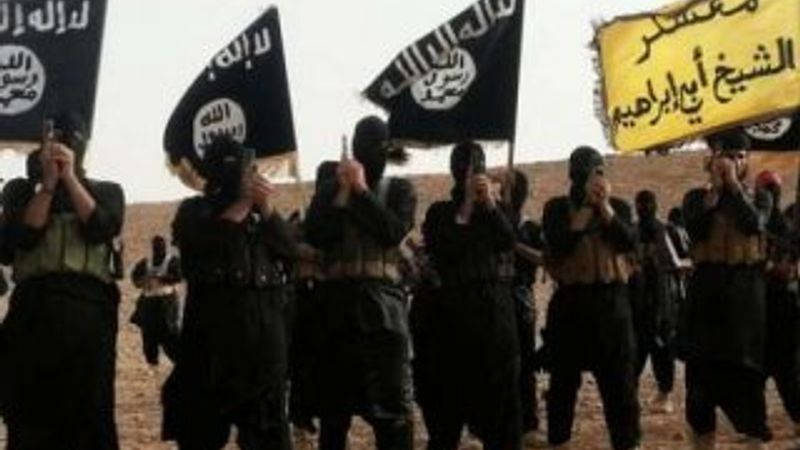 McCaul: IŞİD internetteki savaşı kazandı