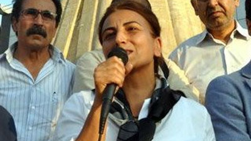 Aysel Tuğluk'tan askere darbe mesajı