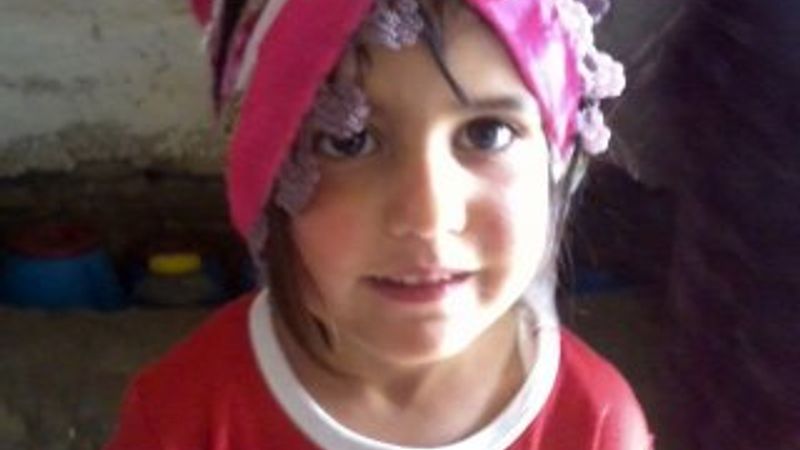 Van'da kaybolan Nehir'in kız kardeşi dünyaya geldi