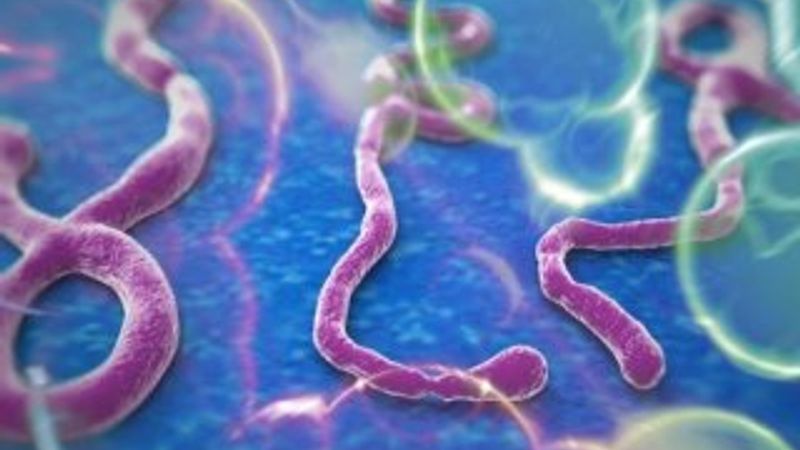 Çin Ebola'ya karşı kıyafet geliştirdi