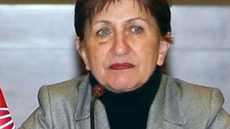 CHP'li Binnaz Toprak eşcinselleri savunacak