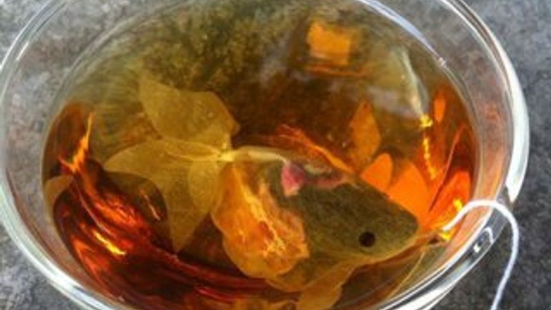 Tasarım harikası ürünler