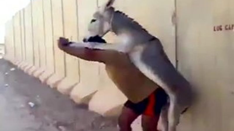 Iraklı askerlerin yavru eşeğe işkencesi internete düştü