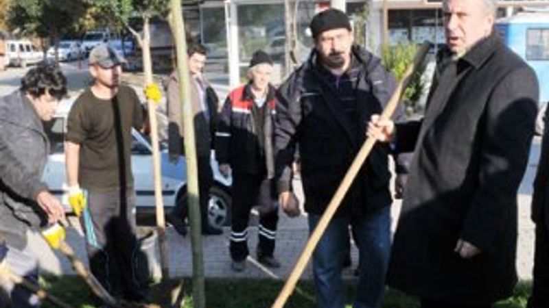 Muharrem İnce özür dileyerek fidan dikti