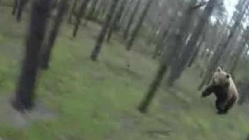 Ormanda giden bisikletliyi ayı kovaladı