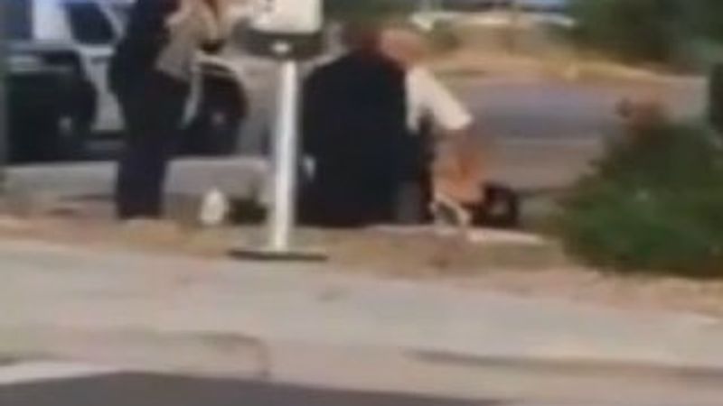 ABD polisi genç kızı yumrukladı