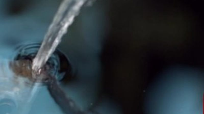 Tükürerek avlanan okçu balığının görüntüleri İZLE