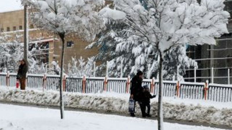 Doğu'da kar yağışı etkili oldu