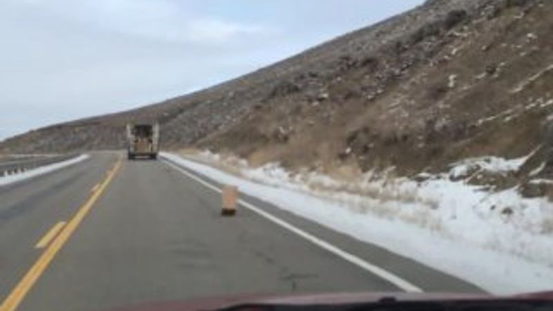 FedEx kuryesi kargolarını dökerek ilerledi