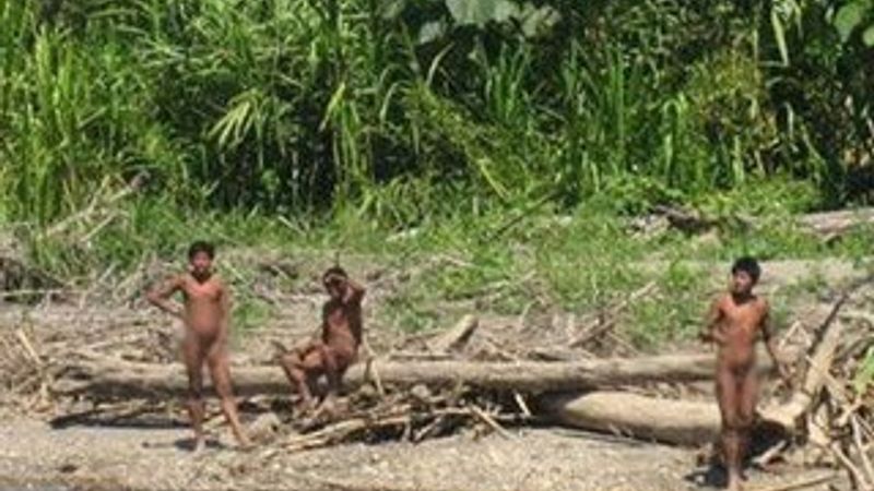 Amazon yerlileri köy bastı