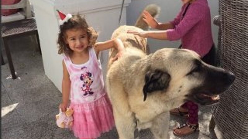 Adriana Lima Kangal aldı