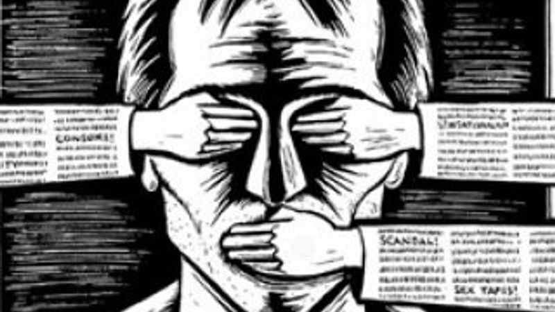 Hasan Hüseyin Öz: Özgür basının İngilizcesi