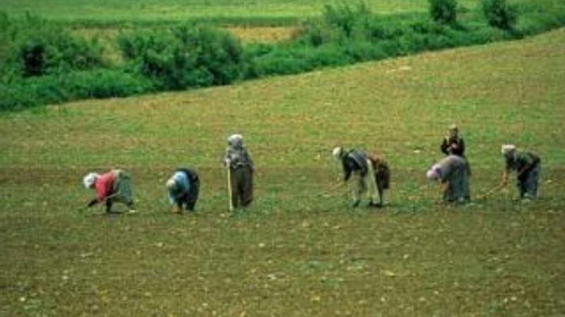 Çiftçi Kayıt Sistemi başvuru süresi değişti