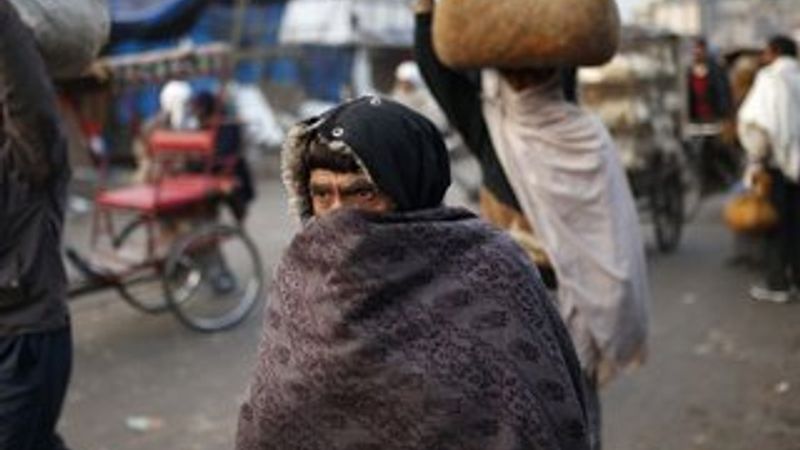 Hindistan'da domuz gribi yayılıyor