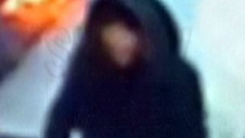 Sultanahmet'te polise saldıran canlı bombanın görüntüsü