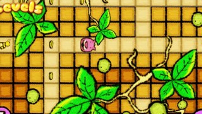 Kediniz için balıkları tek tek toplayın