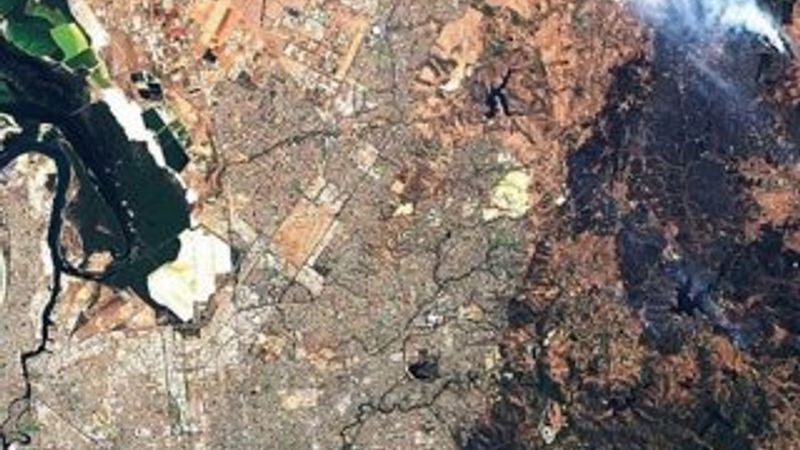 Avustralya'da orman yangını