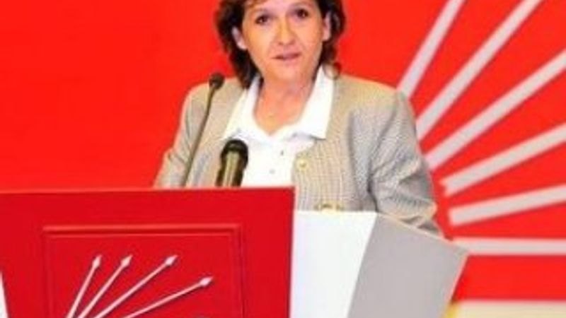 CHP'li Birgül Ayman Güler disiplin kuruluna sevk edildi