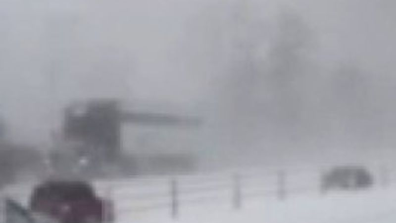 ABD'de 200 araçlık zincirleme kaza İZLE