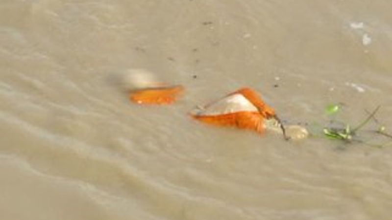 Ganj Nehri'nden 100'den fazla ceset çıktı