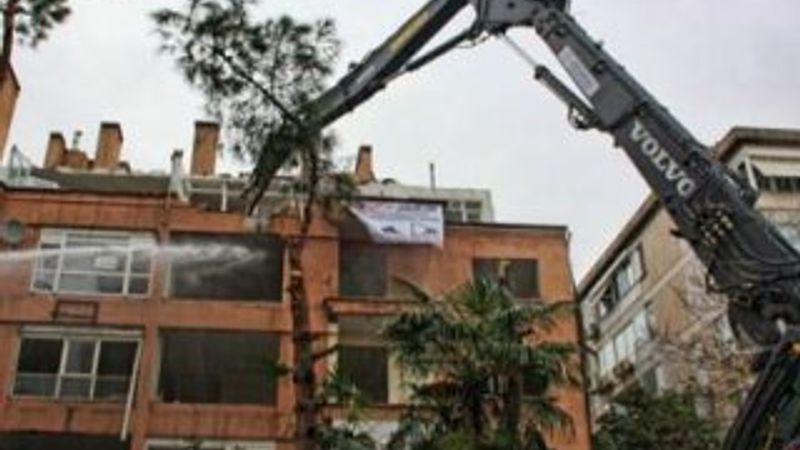 Kadıköy'de rantsal dönüşümle ağaç katliamı