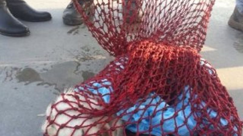 Sarıyer sahilinde poşetin içinde köpek cesedi bulundu