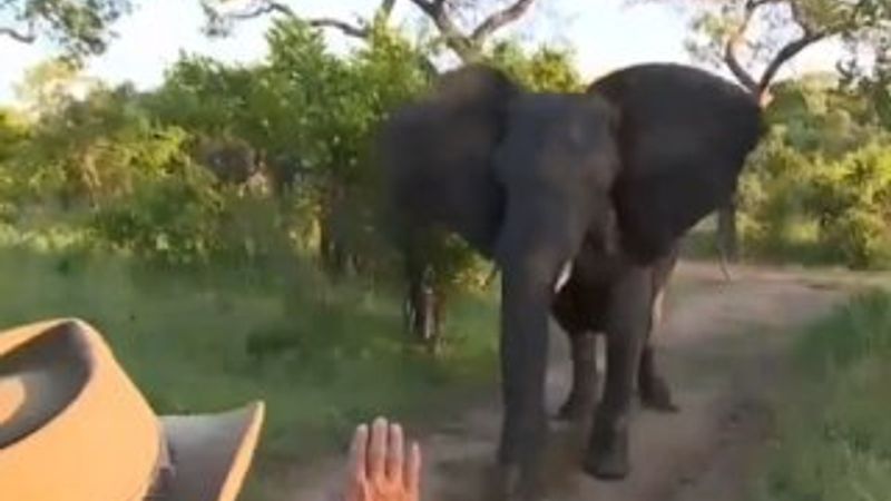 Fili el işaretiyle durdurduğunu sanan adam