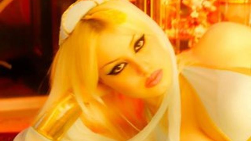 Kedicik Gülşah Güçyetmez'in Facebook paylaşımları