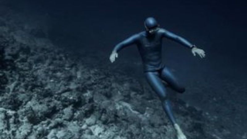 Okyanusun dibinde muhteşem gösteri