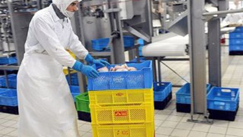 Şeker Piliç'in iflasına karar verildi