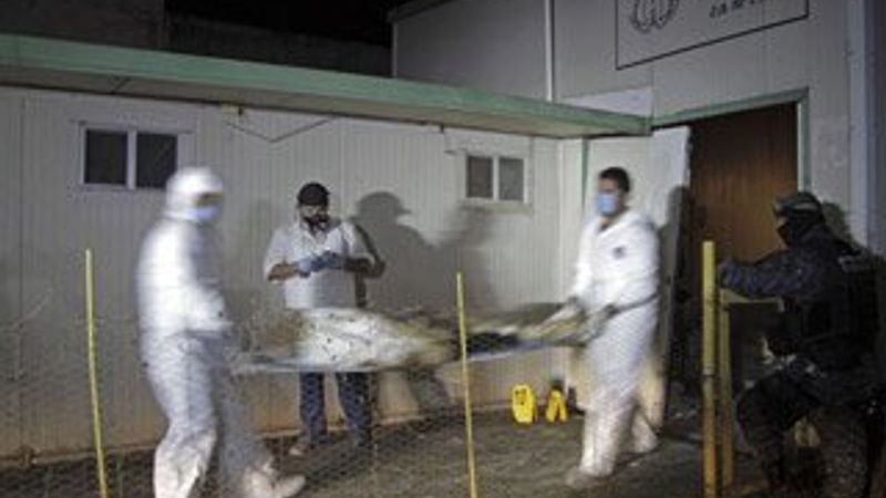 Meksika'da krematoryumdan 61 ceset çıktı