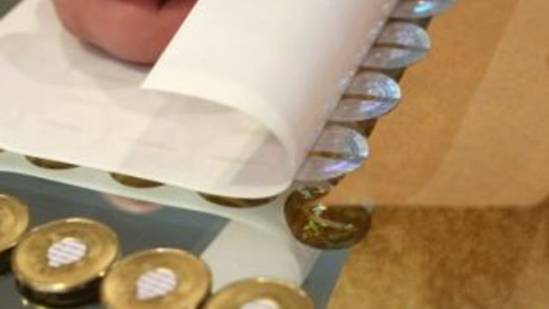 Ekvador resmi para birimini sanal para yapacak