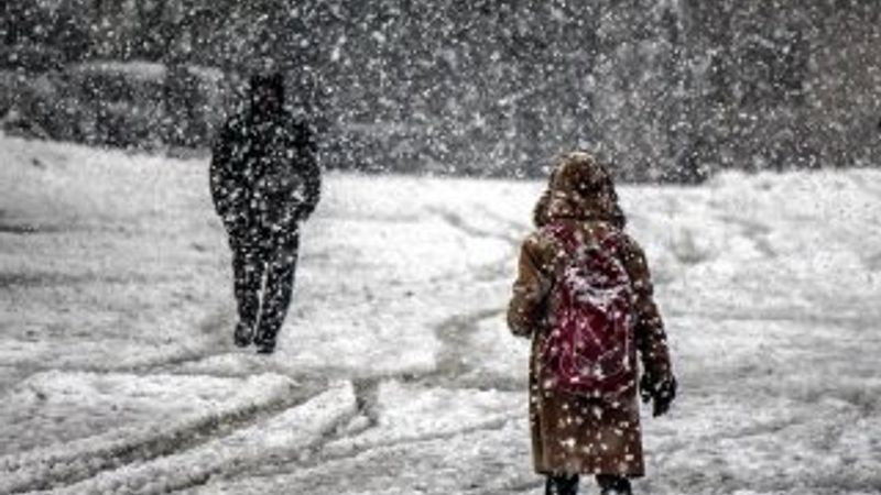 Okulların kar nedeniyle tatil edildiği iller