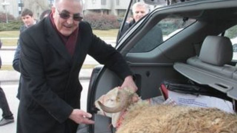 CHP'li vekil Meclis'e koçla gitti