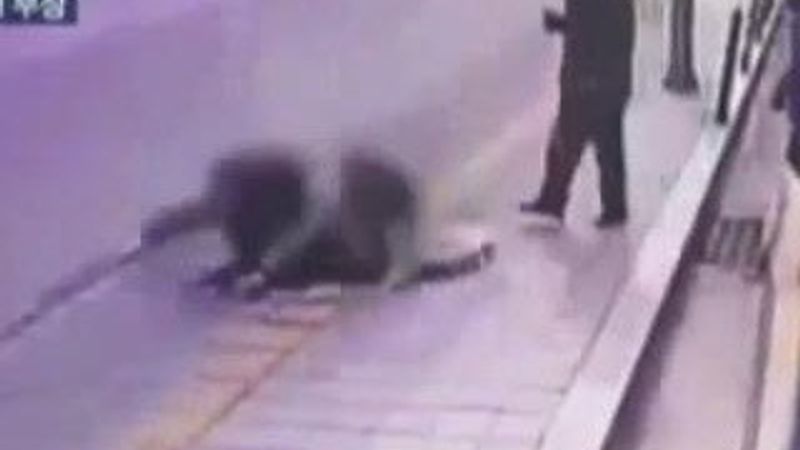 Yolda yürürken yerin dibine girdiler - İzle