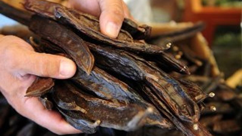 Radyasyona karşı sütlü keçiboynuzu