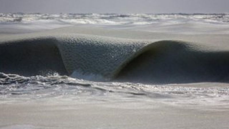 ABD'deki soğuk hava dalgaları dondurdu