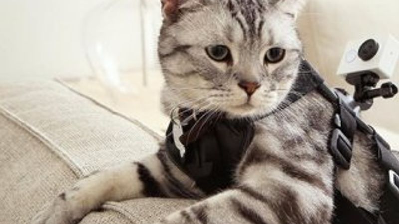 Xiaomi aksiyon kamerası üretti