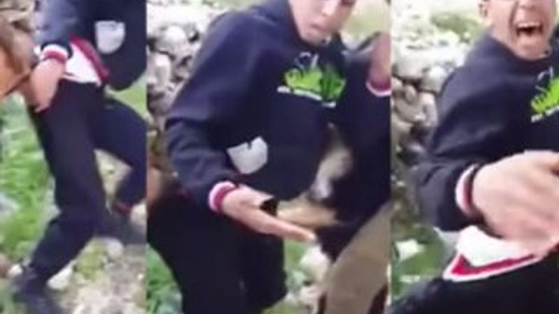 İsrailli askerlerin köpekli işkencesine soruşturma