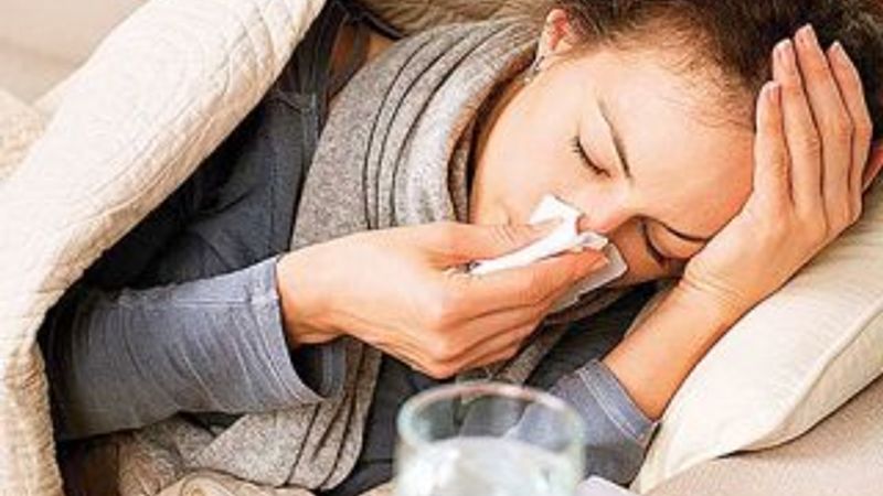 Domuz gribinden ölenlerin sayısı 33'e yükseldi