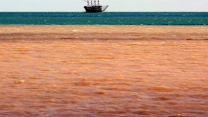 Antalya Körfezi'ni çamur kapladı