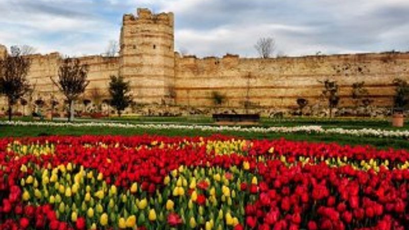 İstanbul'da lale zamanı başlıyor