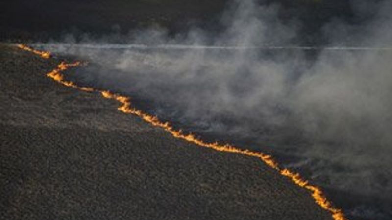 Çernobil santrali yakınında orman yangını
